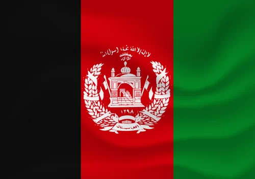 ErpVize Danışmanlık