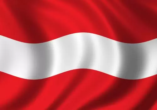 ErpVize Danışmanlık