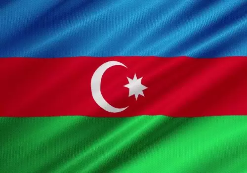 ErpVize Danışmanlık