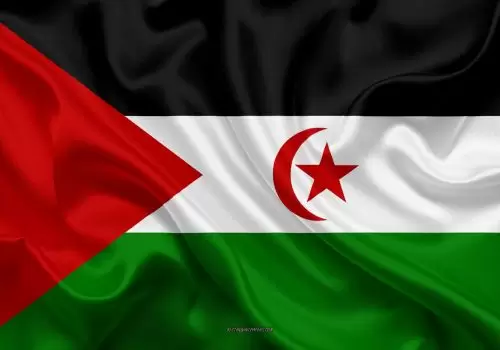 ErpVize Danışmanlık