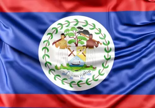 ErpVize Danışmanlık