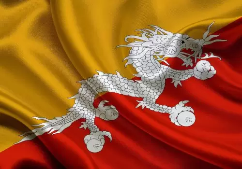 ErpVize Danışmanlık