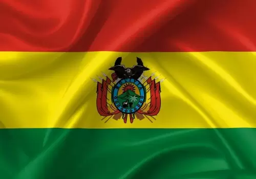 ErpVize Danışmanlık