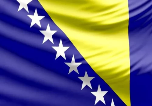 ErpVize Danışmanlık