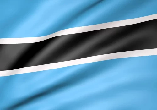 ErpVize Danışmanlık