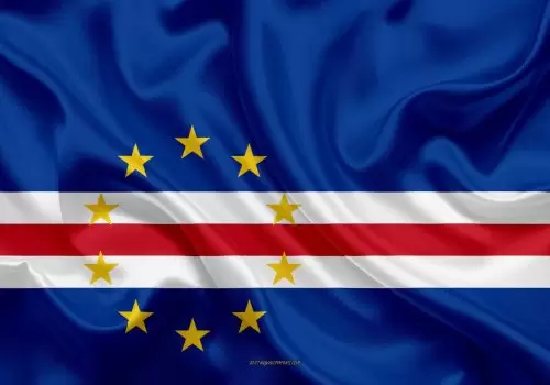 ErpVize Danışmanlık