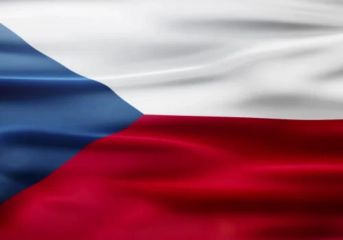 ErpVize Danışmanlık