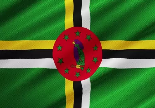 ErpVize Danışmanlık