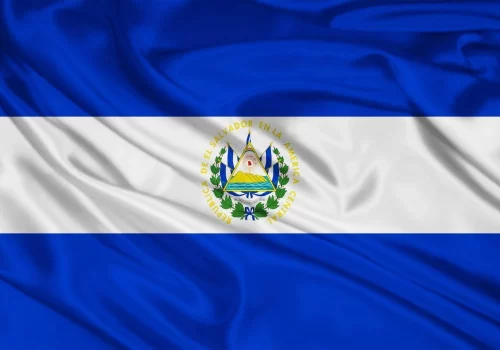 ErpVize Danışmanlık