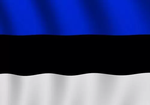 ErpVize Danışmanlık