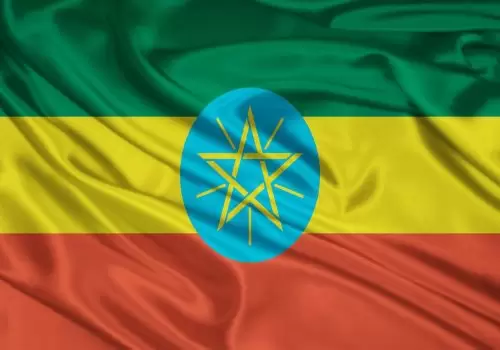 ErpVize Danışmanlık