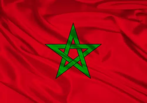 ErpVize Danışmanlık