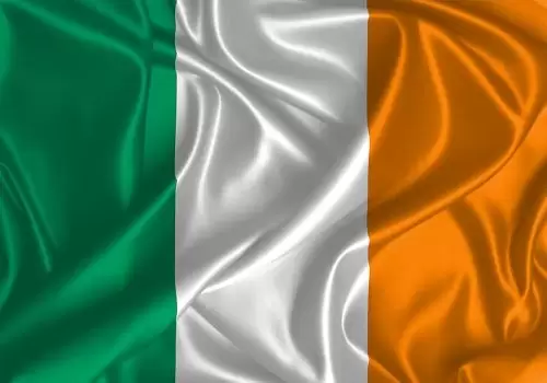 ErpVize Danışmanlık