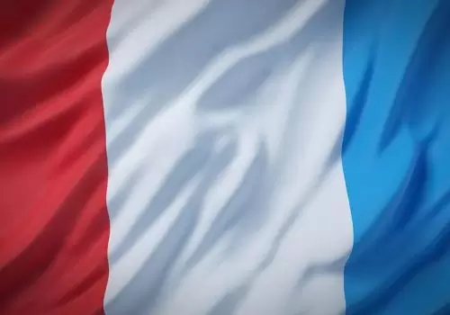 ErpVize Danışmanlık