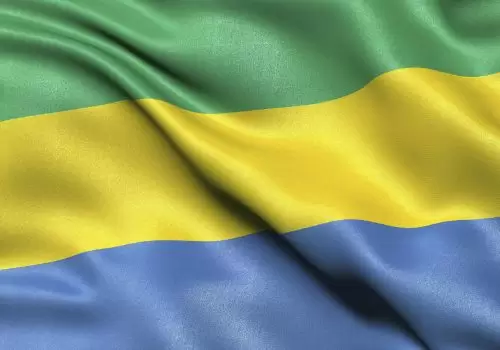 ErpVize Danışmanlık