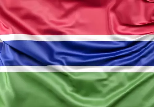 ErpVize Danışmanlık