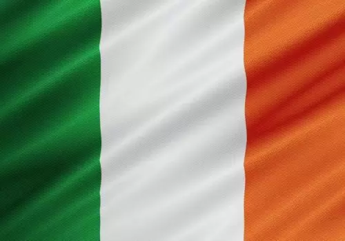 ErpVize Danışmanlık