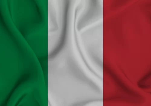 ErpVize Danışmanlık