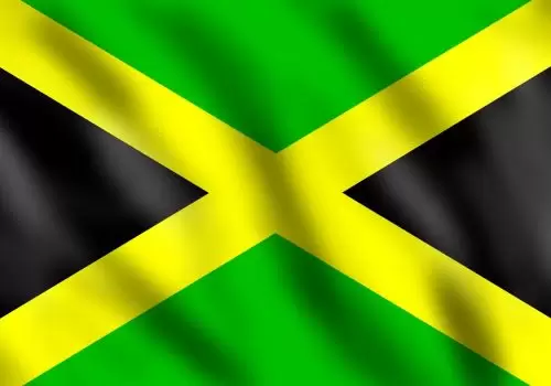 ErpVize Danışmanlık