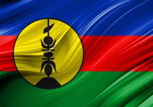 ErpVize Danışmanlık