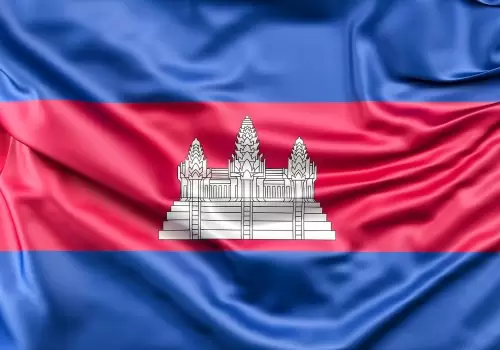 ErpVize Danışmanlık