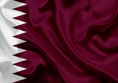 ErpVize Danışmanlık