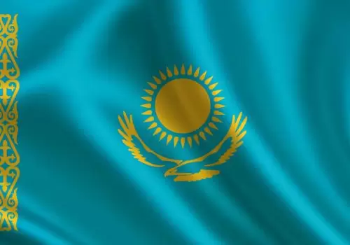 ErpVize Danışmanlık