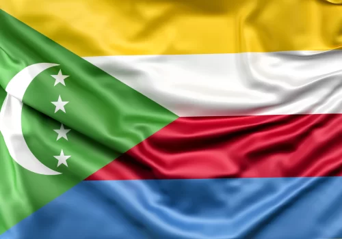 ErpVize Danışmanlık