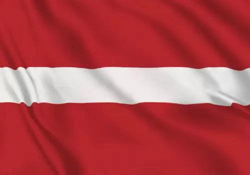 ErpVize Danışmanlık