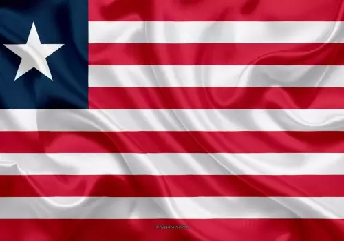 ErpVize Danışmanlık