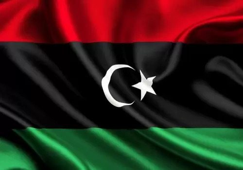 ErpVize Danışmanlık