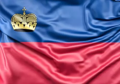 ErpVize Danışmanlık