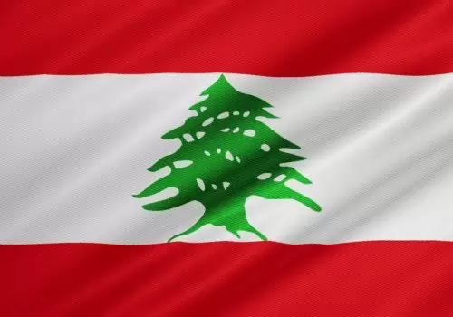 ErpVize Danışmanlık