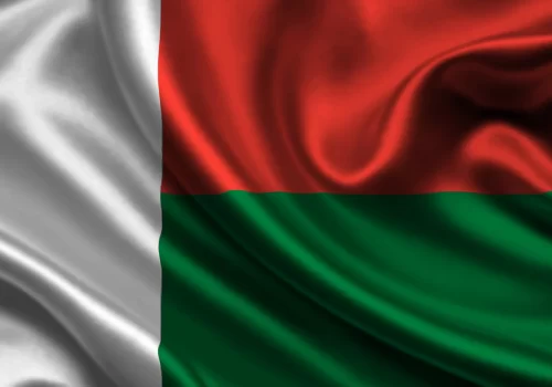 ErpVize Danışmanlık