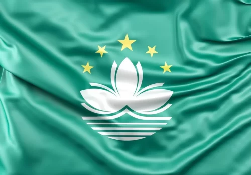 ErpVize Danışmanlık