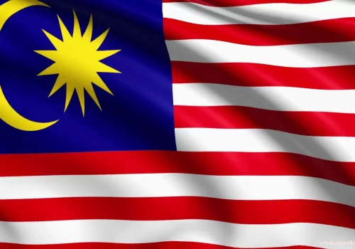 ErpVize Danışmanlık