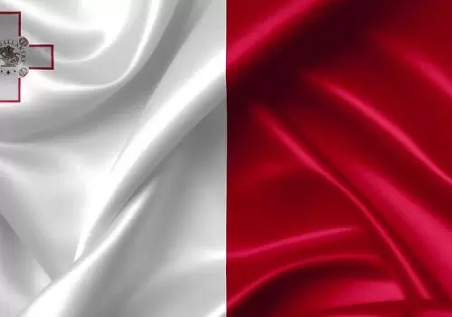 ErpVize Danışmanlık