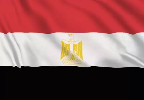 ErpVize Danışmanlık