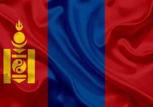 ErpVize Danışmanlık