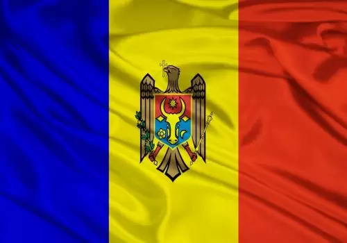 ErpVize Danışmanlık