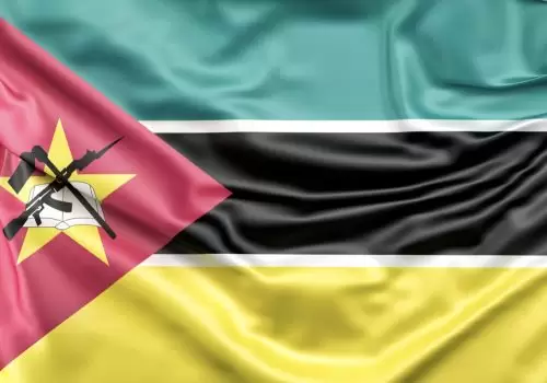 ErpVize Danışmanlık