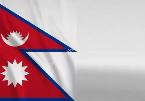 ErpVize Danışmanlık