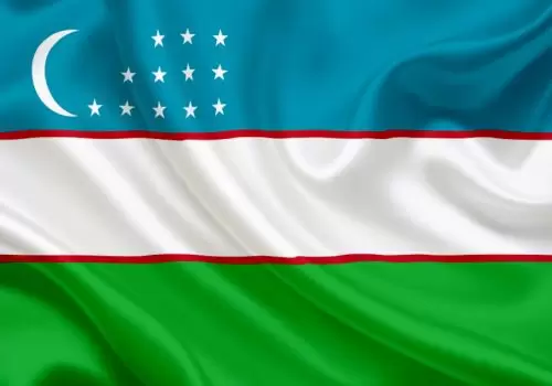 ErpVize Danışmanlık