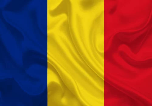 ErpVize Danışmanlık