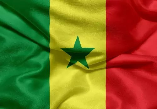 ErpVize Danışmanlık