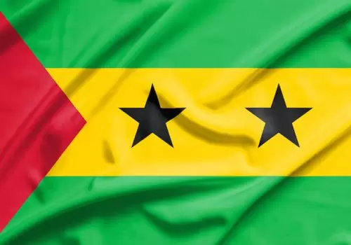 ErpVize Danışmanlık