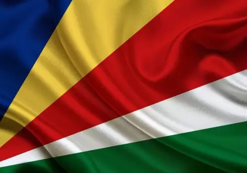 ErpVize Danışmanlık