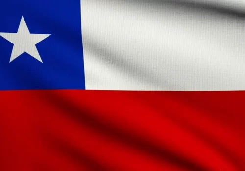 ErpVize Danışmanlık