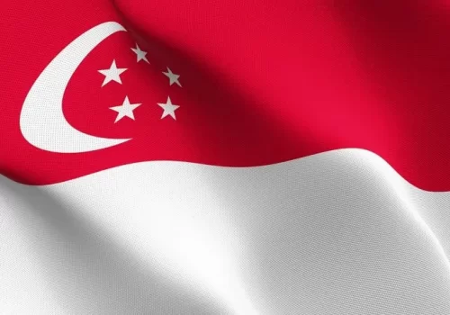 ErpVize Danışmanlık