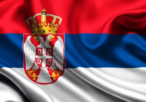 ErpVize Danışmanlık